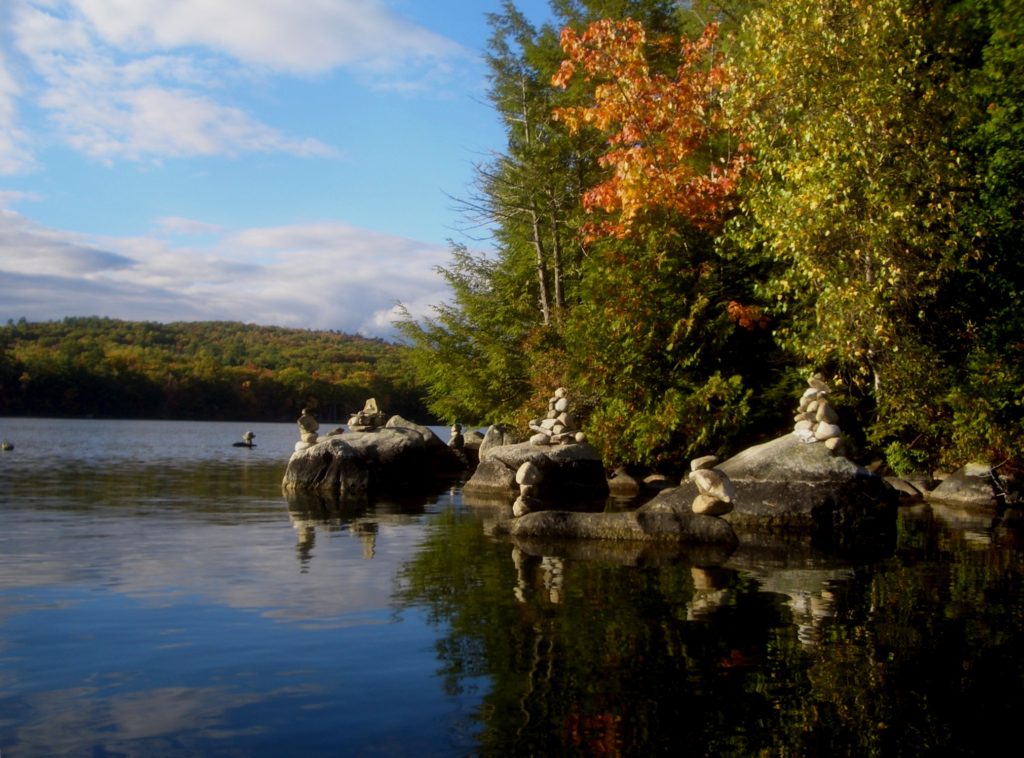 Island in McGrath Pond